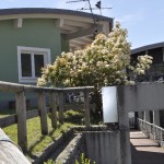 _DSC0105