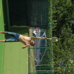 DSCN0201